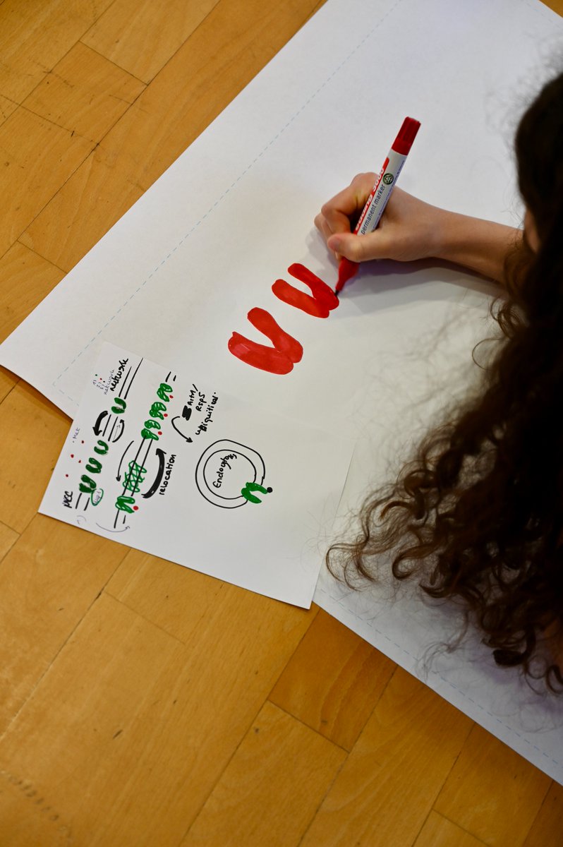 Clarity in science matters! 🧬🎨
After last year’s success, we once again hosted the workshop on “Applying Design Principles to Schematic Figures”, where design expert Sandra Krahl taught our researchers how to turn complex concepts into compelling visual stories.