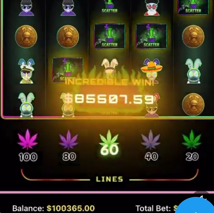 🚨🐇🎰 Today is the day, fam! The Stoned Rabbits Slot machine 🎰 launch  on gamblor.io 💎💥 Let’s spin, win &amp; make history together! 🌱🍀