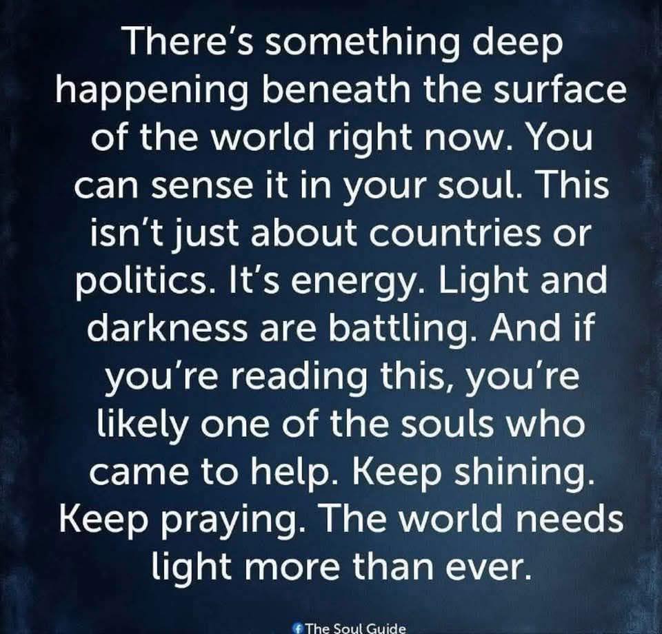 Shirley Phillips 〓〓🇬🇧🇮🇱🩵 tweet media