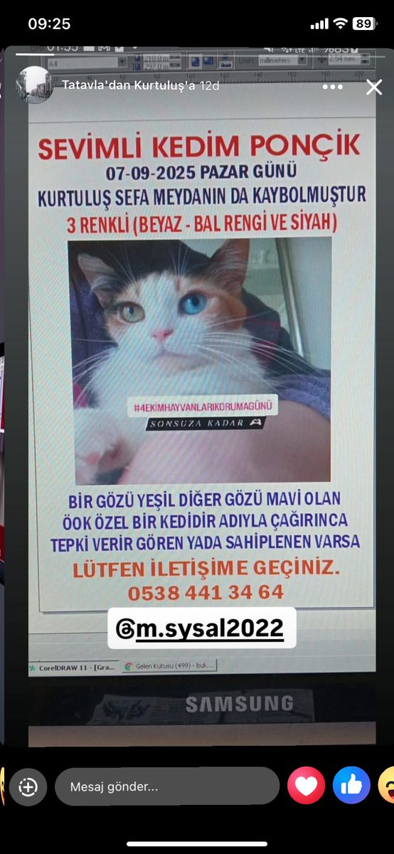 KAYIP! 
Yer: Kurtuluş / Şişli
#istanbul 

#şişli 
#kayıpkedi
#kayıp 
#SokakHayvanlarıSahipsizDeğil 

<a href="/AysemOzleyis/">Ayşem Özleyiş Oğuz 🌱</a> 
<a href="/ltr_Sibel/">Sibel Gölge</a> 
<a href="/PatilerKulubu/">Kediler ve Köpekler</a> 
@omer_art15