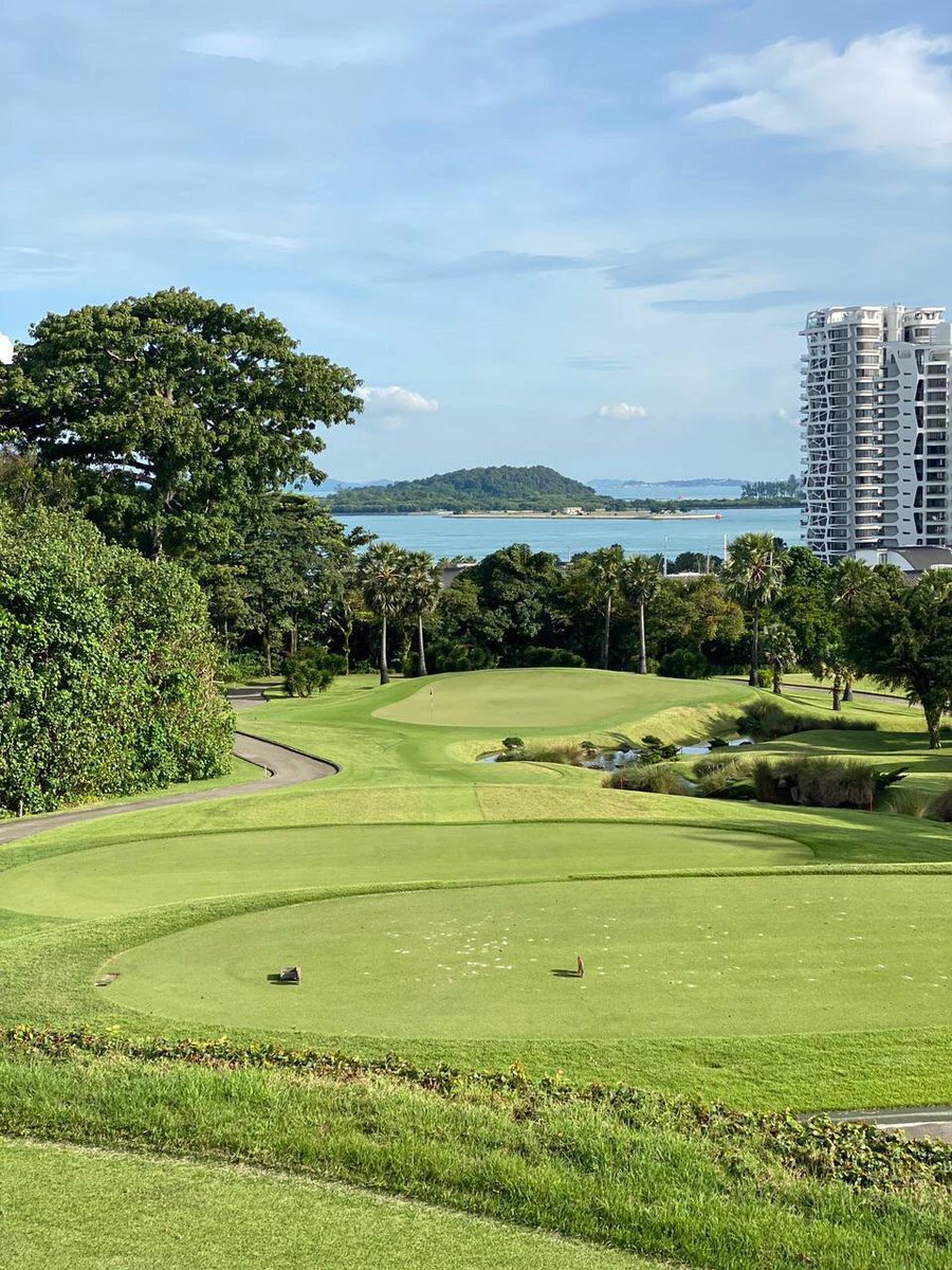kaori137212's tweet image. Confidence, elegance, and the joy of the game 🌸 Afternoon on the course.
#GolfLife #AfternoonGlow