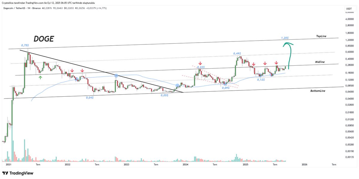Cryptollica's tweet photo. $DOGE 0.25$ 

Target: 1.20$ 🐕

🍁🍂 https://t.co/3POTK5kGDB