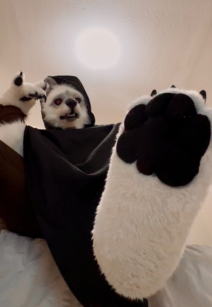 BigBadDeathWolf's tweet image. Hello down there… 🐺 🗡️ 🐾 
#FursuitFriday #Steptember