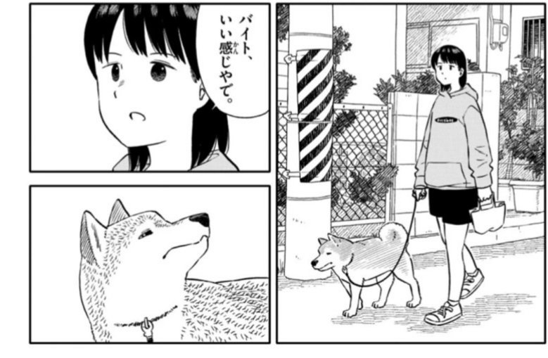 【ゲッサン10月号絶賛発売中！】
今日のさんぽんた第67話 嘘つき
第68話 不満 掲載中です！
そうです、今月は２本立てです！
クワガタを探しにいくお話と、新しいバイト始めましたというお話になります。
今月もよろしくお願い致します🐶✨