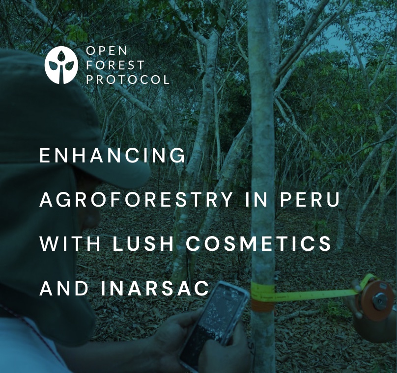 Open Forest Protocol (OFP) (@openforest_) on Twitter photo 🚨OFP is partnering with one of the largest cosmetics companies in North America <a href="/lushcosmetics/">Lush North America</a>
Together with INARSAC, an agroforestry company supported by Lush Cosmetics, OFP's digital monitoring platform will help track and trace their agroforestry project in Peru🇵🇪 🚨OFP is partnering with one of the largest cosmetics companies in North America <a href="/lushcosmetics/">Lush North America</a>
Together with INARSAC, an agroforestry company supported by Lush Cosmetics, OFP's digital monitoring platform will help track and trace their agroforestry project in Peru🇵🇪