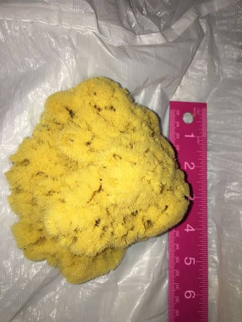 Alx Sponge tweet media