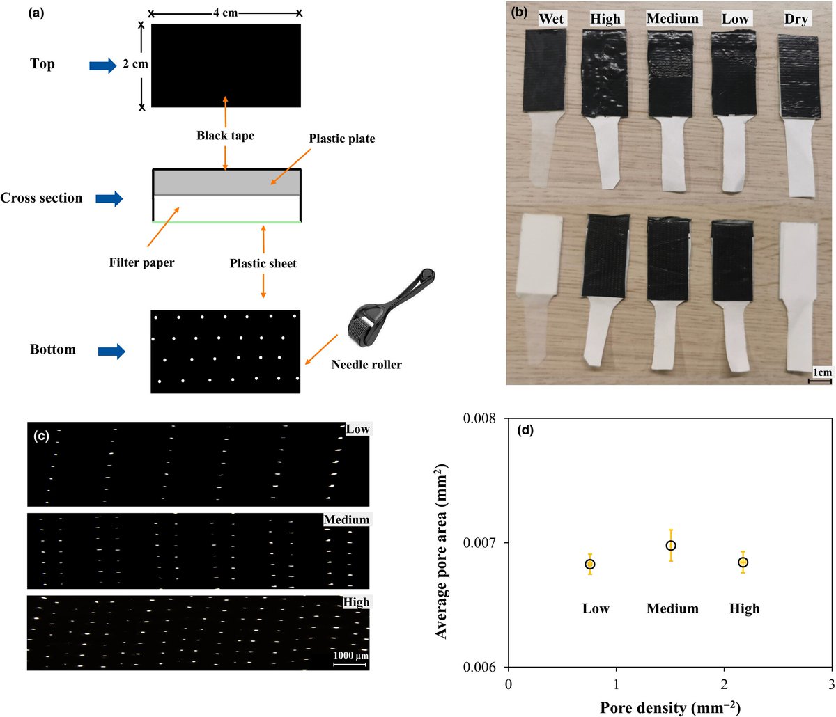 NewPhyt's tweet image. DynG: A dynamic scaling factor for thermographic #stomatal #conductance estimation under changing environmental conditions

📖 nph.onlinelibrary.wiley.com/doi/10.1111/np…
#Methods article by Zhang et al.

@WileyPlantSci #PlantScience