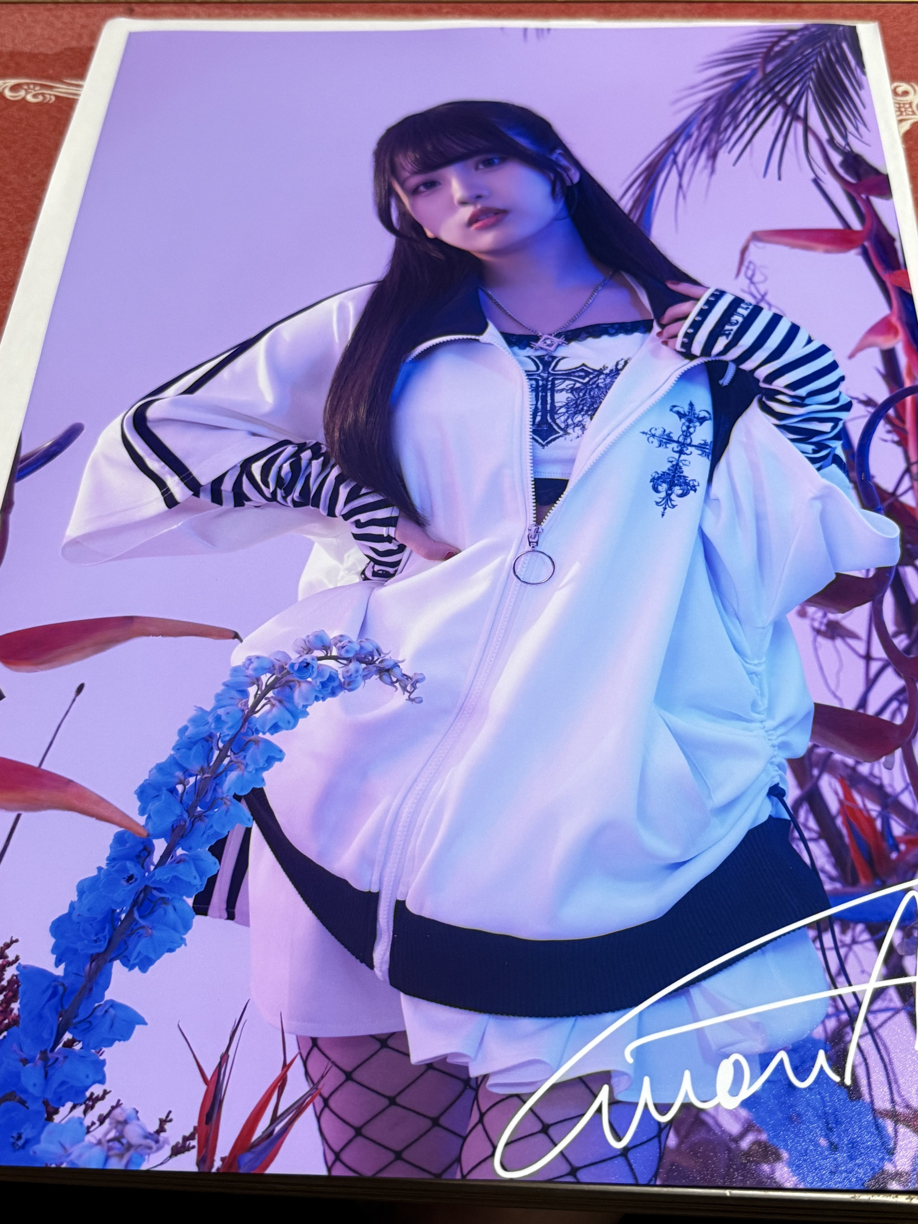 しんいっち🌿 🦋ハイネ on X: 