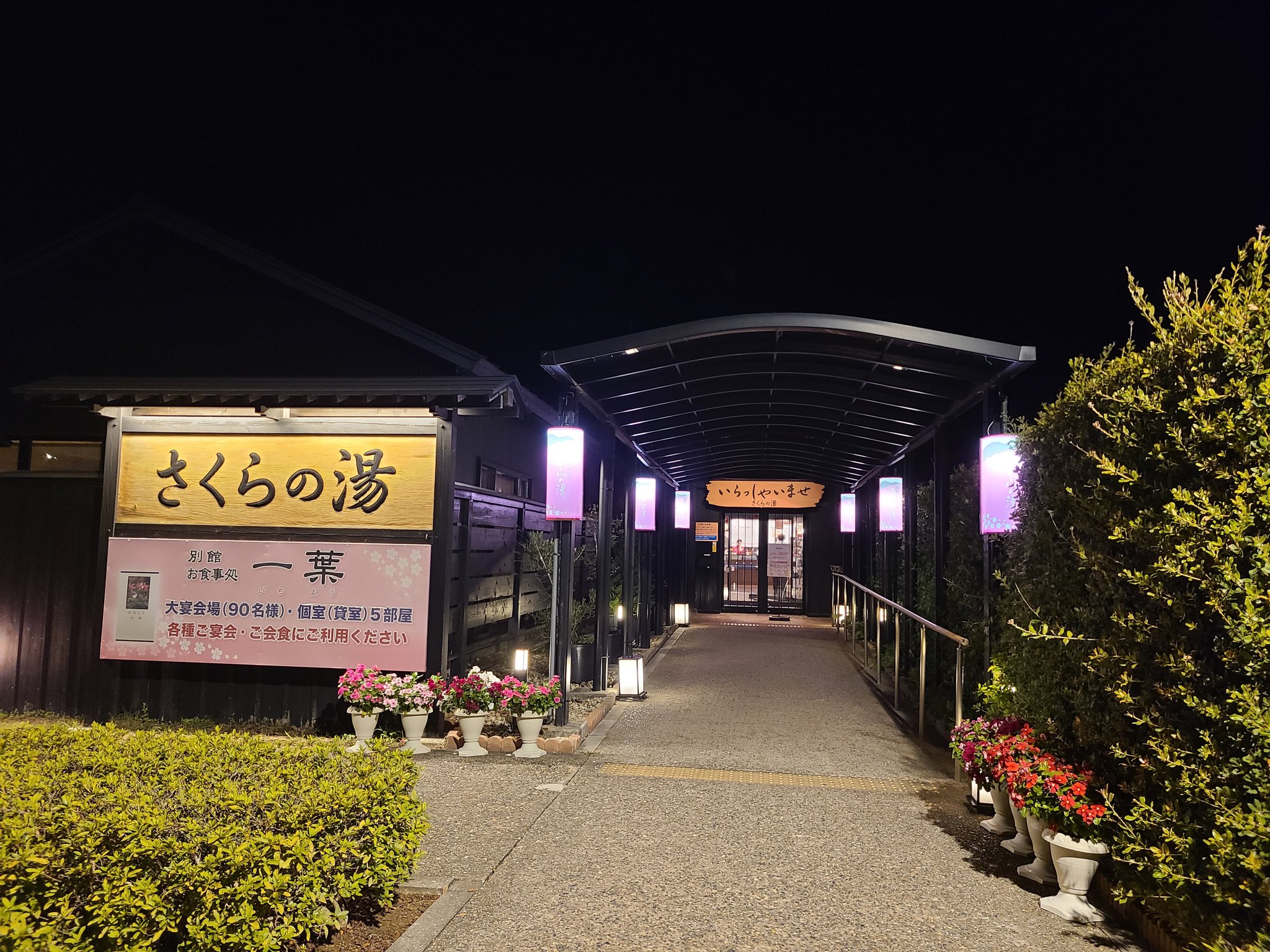 【値下げしました】音速飯店、タギロンなど 71f+iqY1CKL._UF350,350_QL80_.jpg