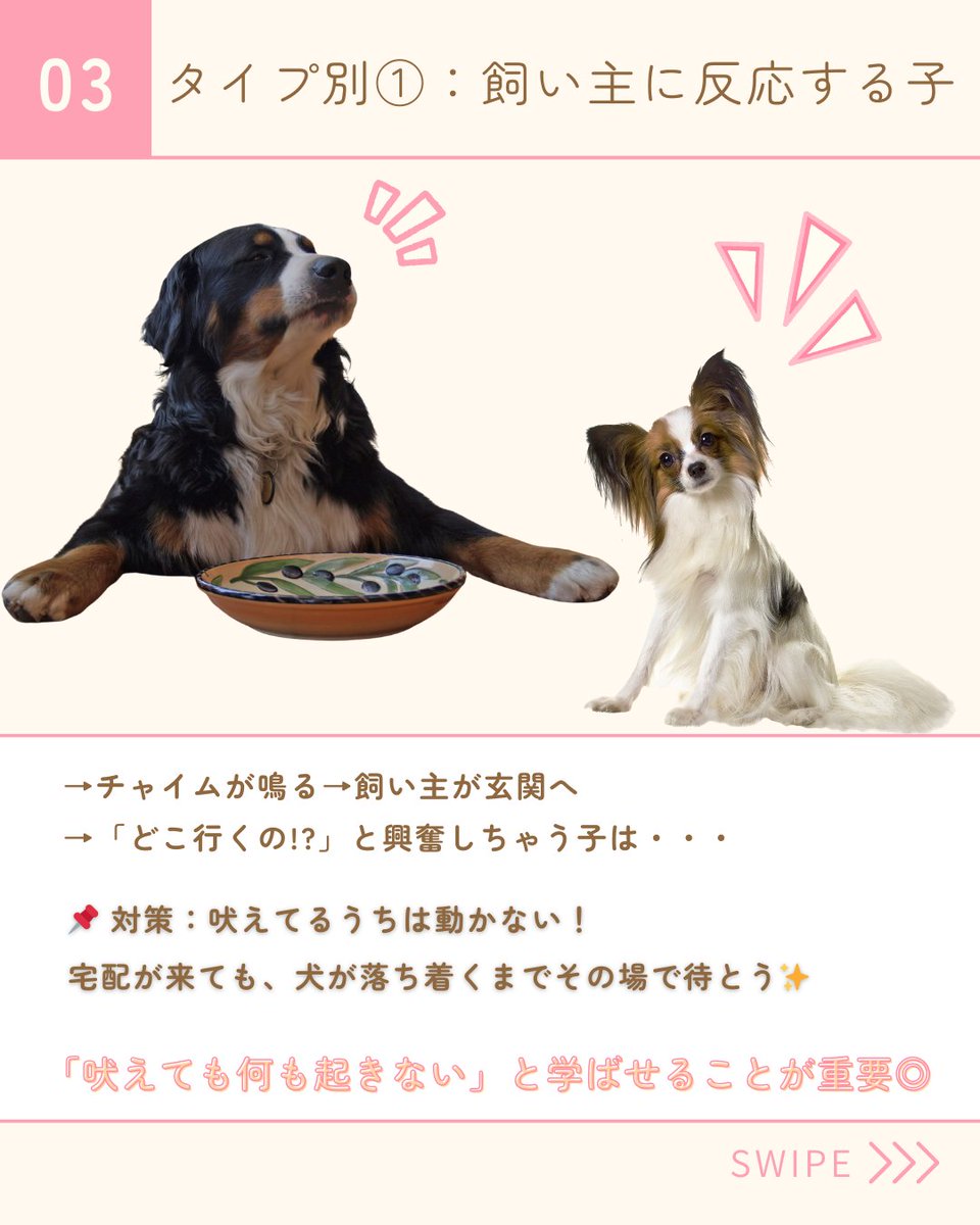 PetPilala's tweet photo. ＼🔔ピンポンで吠えちゃう…どうすれば？🐶／

チャイムの音で毎回大騒ぎになる子、実は多いんです。
大切なのは「やめさせる」より「落ち着ける」工夫✨

音に慣らす練習、褒めるタイミングなど
すぐに試せる対策をまとめました！

「うちの子これかも…」と思ったら、ぜひチェックしてみてください💡 https://t.co/Zd9mqgixl6