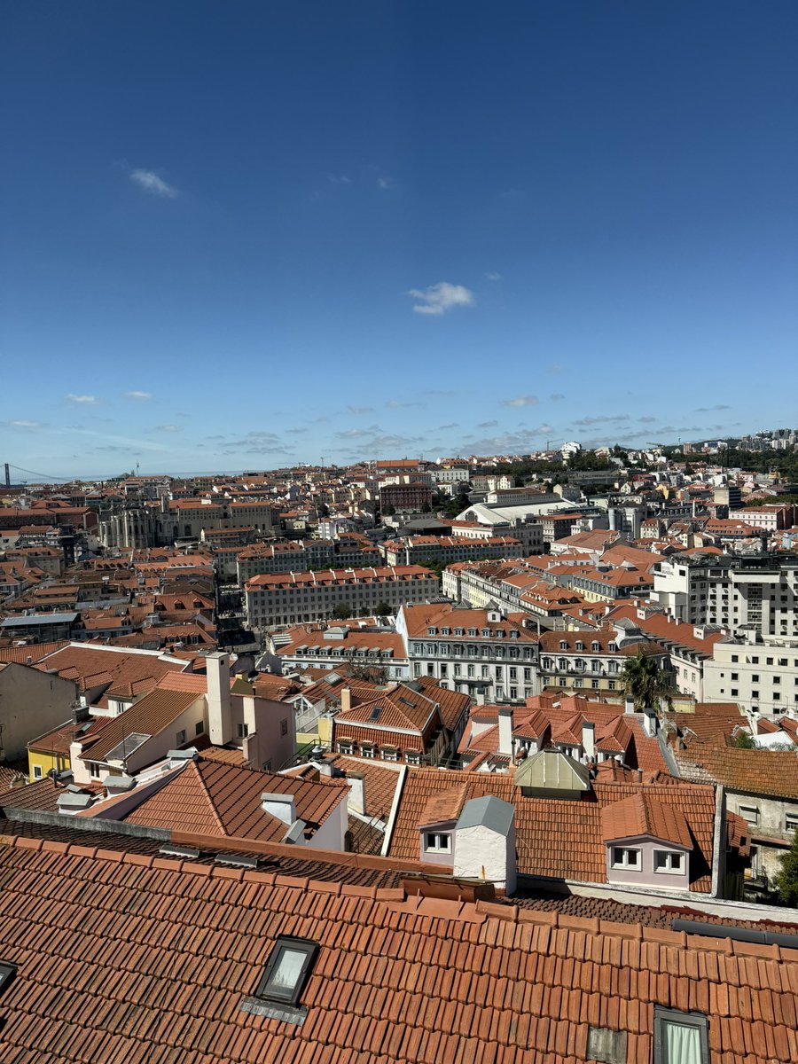 BarrieRo55's tweet image. 🇵🇹