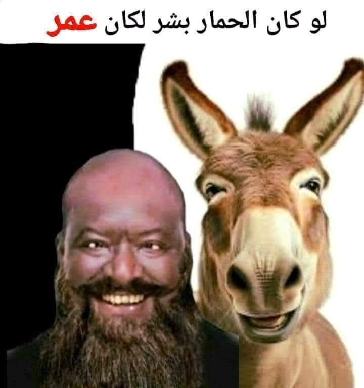 lordofrings41's tweet photo. @s2_s_24 https://t.co/C833sWGZG5