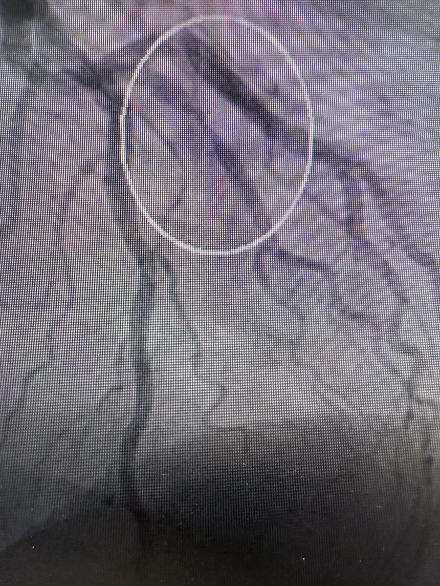 Robert Gerber tweet media