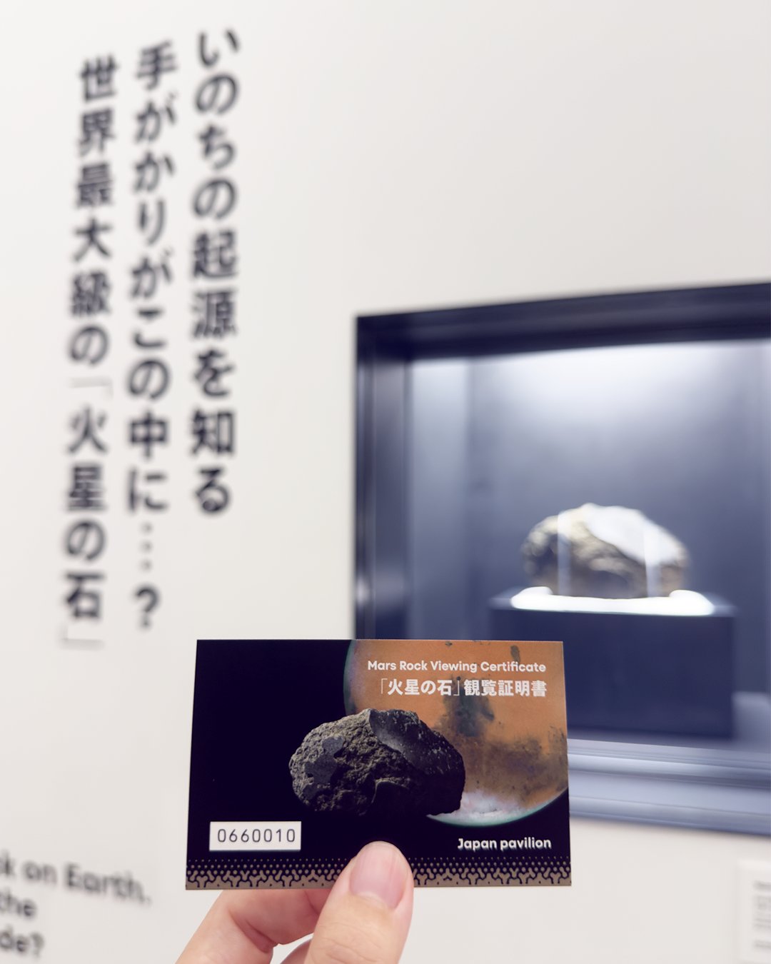 日本館｜Expo2025 大阪・関西万博 on X: 