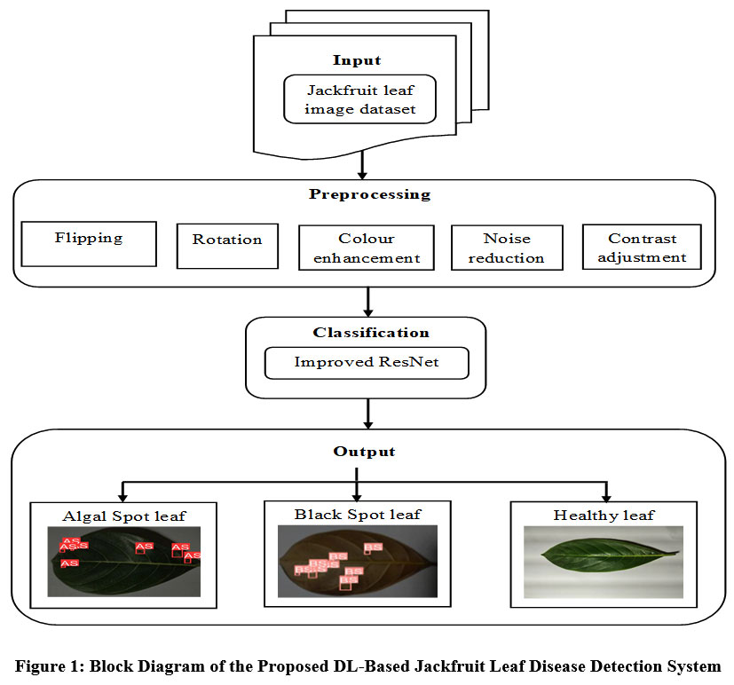curr_agri_res's tweet image. Deep Learning-Based Improved ResNet Model for Accurate Detection of Jackfruit Leaf Diseases
Discover the full study here: bit.ly/3JHj9X3
#Colorenhancement #Dataaugmentation #Deeplearningmodel #ImprovedResNet #jackfruitleafdiseasedetection #Agriculture