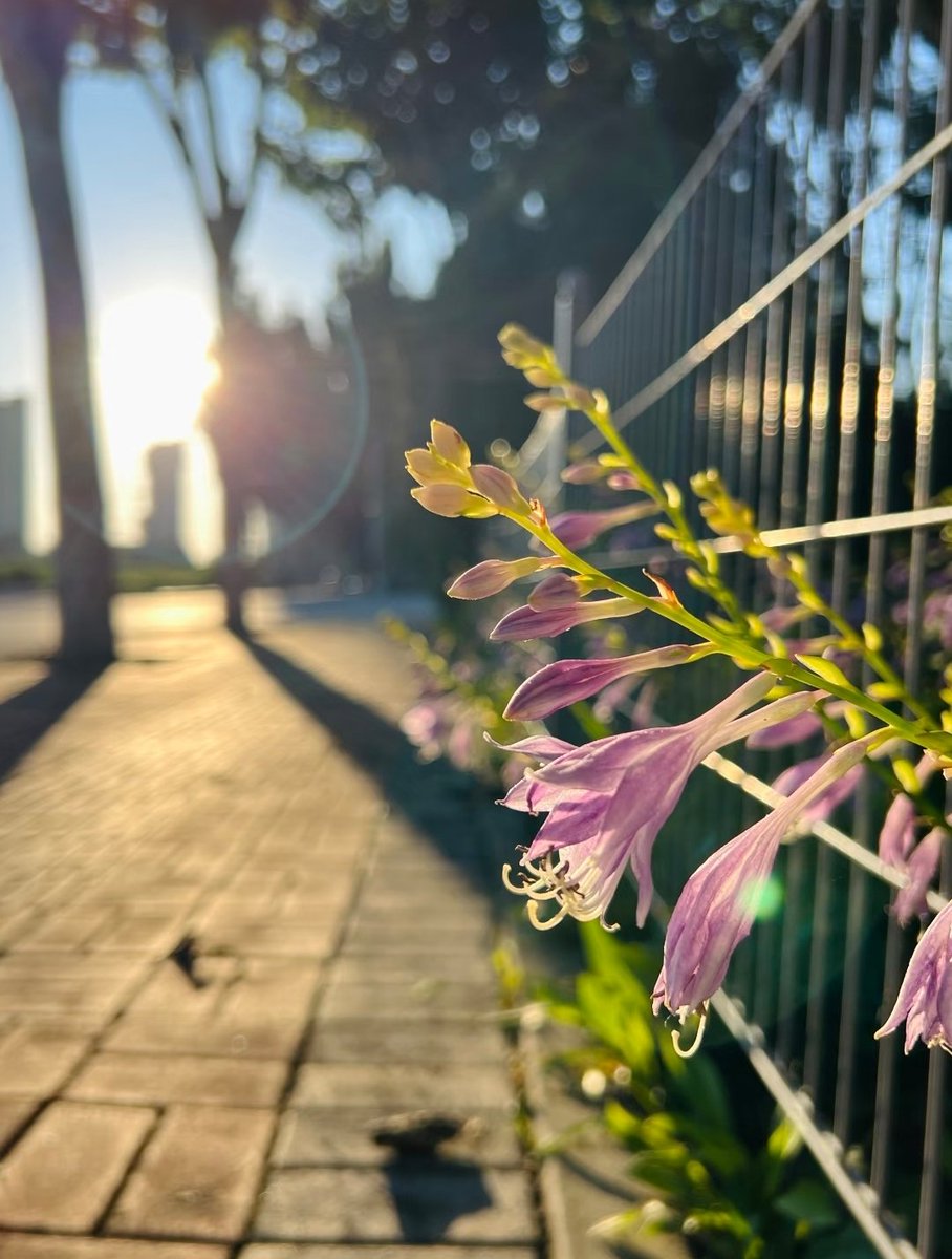 azh5397's tweet photo. Whatever you're going through, don't give up.
Because no persistence will ever be let down.
无论你正在经历什么，都不要轻易放弃，
因为从没有一种坚持会被辜负。 https://t.co/TH9YXpHbsC