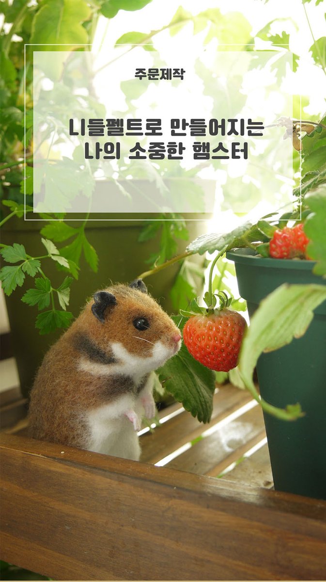 장어징조(니들펠트하는 생물) tweet media