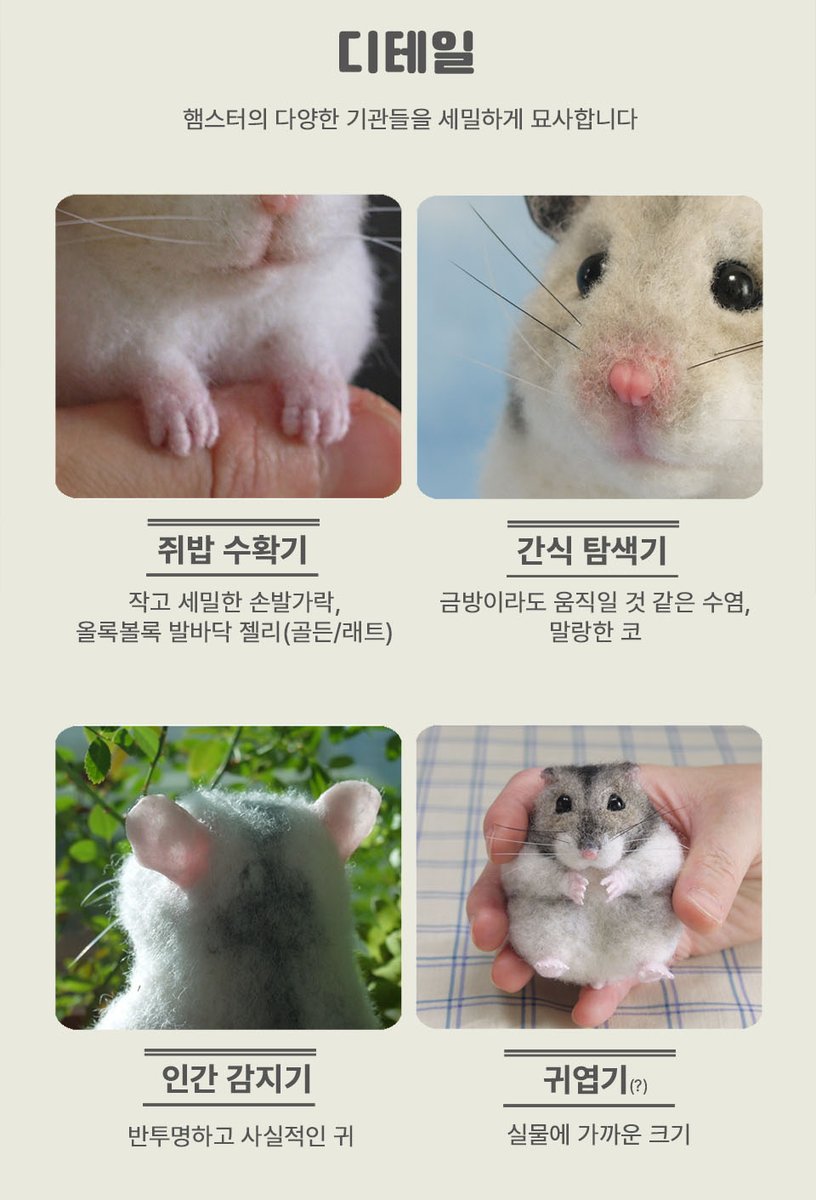 장어징조(니들펠트하는 생물) tweet media