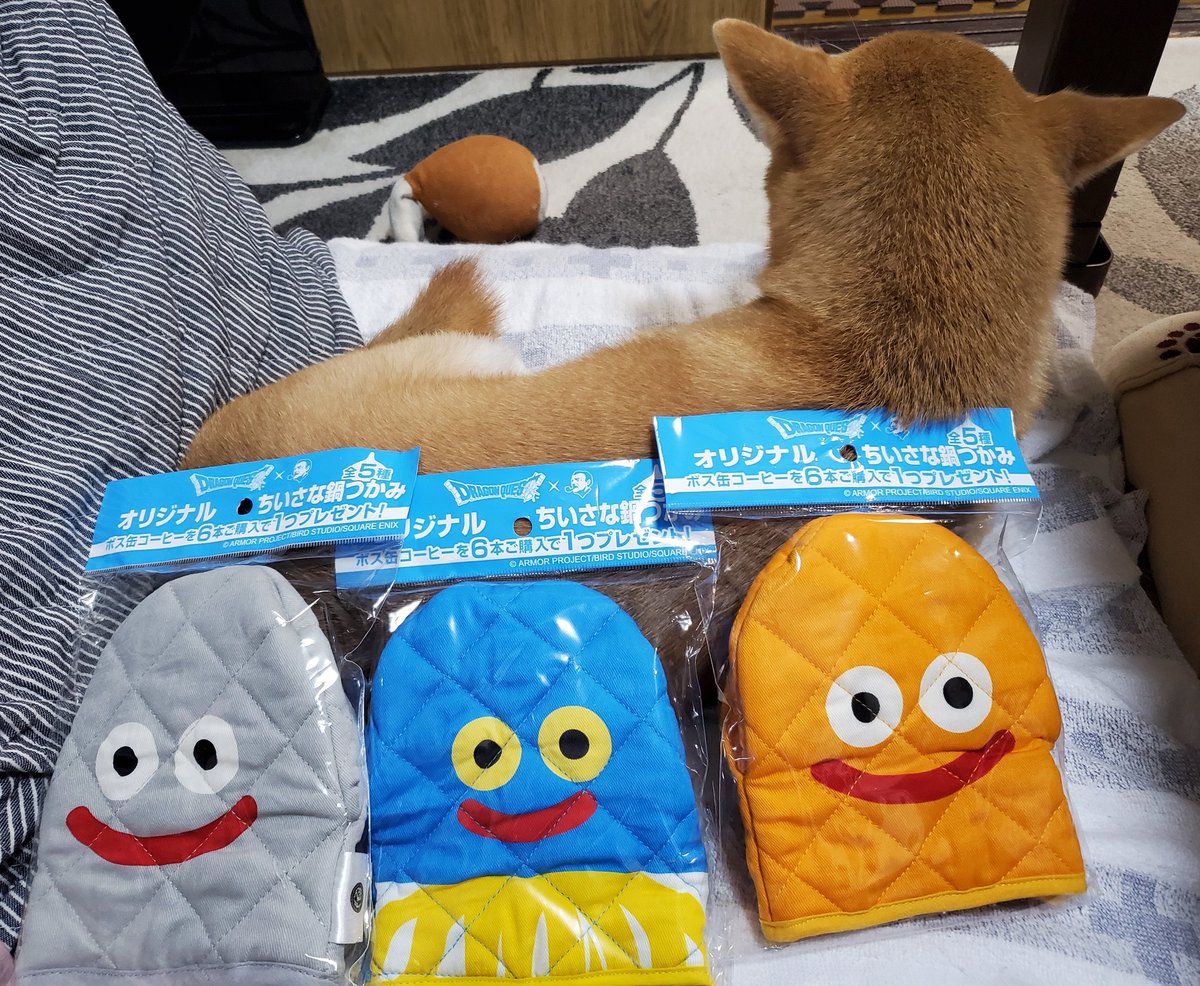 mokorko's tweet photo. やったー！！！
ﾌﾟﾙ((ｽﾗ( ˙꒳​˙  )ｲﾑ))ﾌﾟﾙ https://t.co/Dl3JxY7KjK