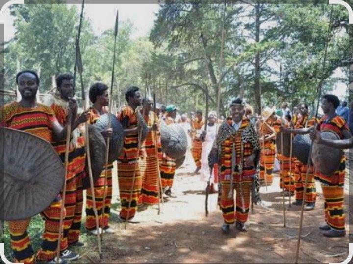 Wolayita 🌀
• Communal dances &amp; oral traditions
• Patterned clothing reflects identity
• Religion: mixed (Protestant, Orthodox, traditional