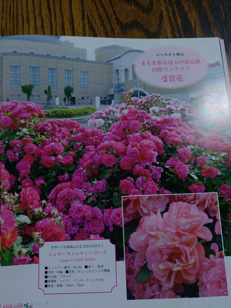 木村 卓功（きむらたくのり） (@roses_creator) / Posts / X