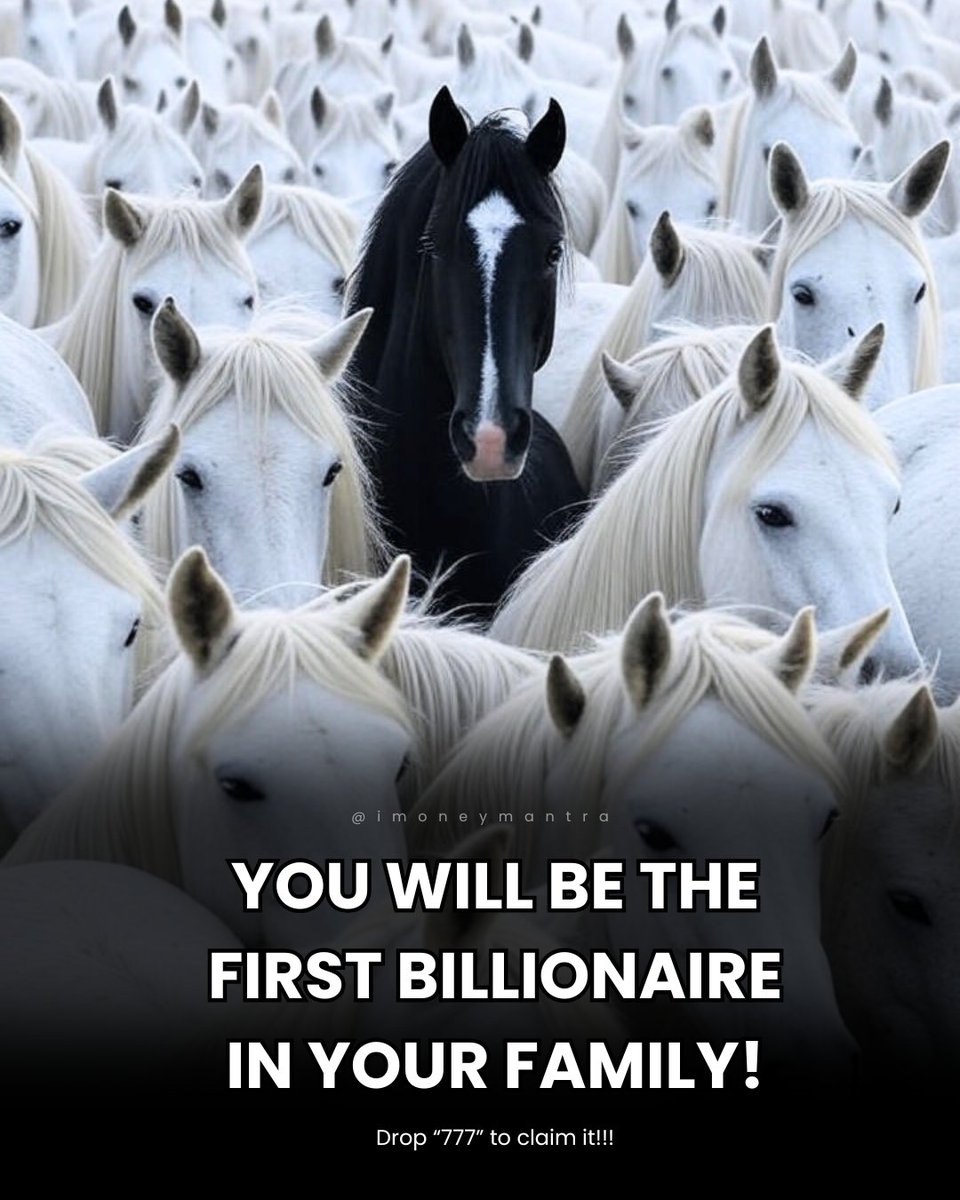 Money Mantra tweet media