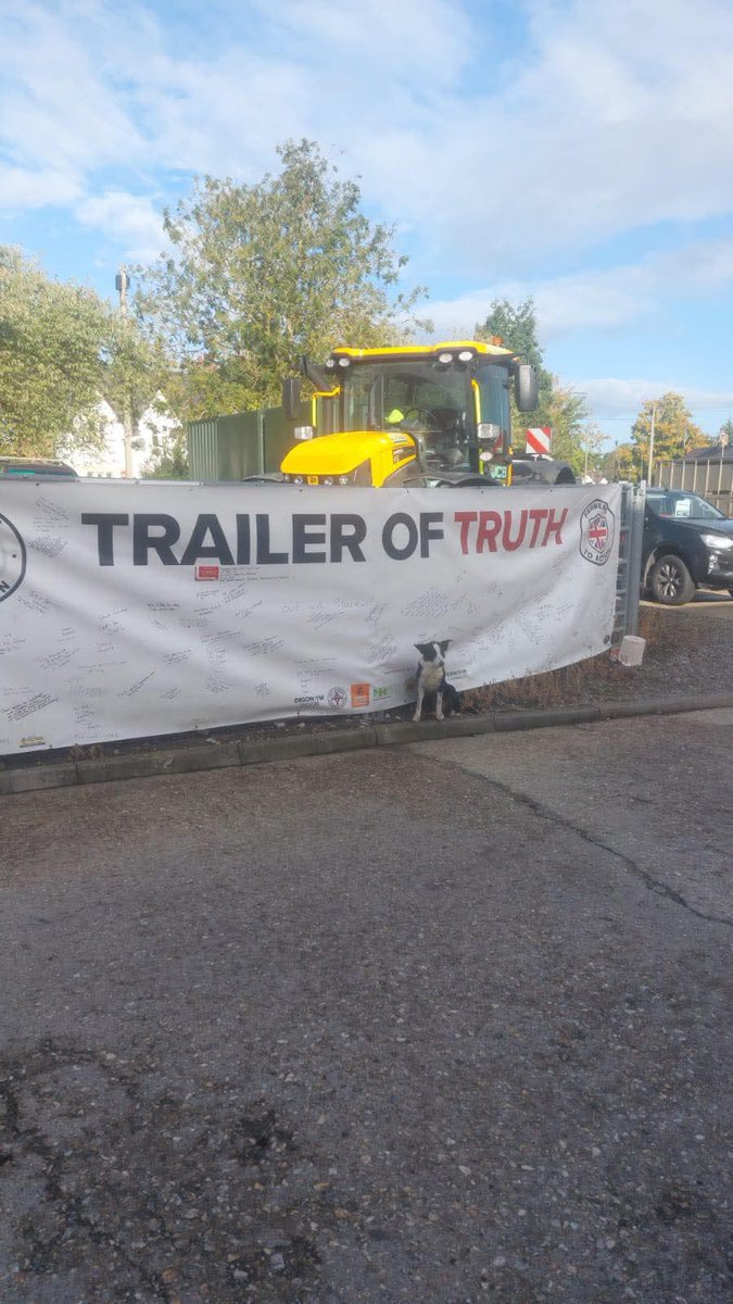 I wonder what the dog has to say about all this!? 🚜🚜🚜 #TrailerOfTruth