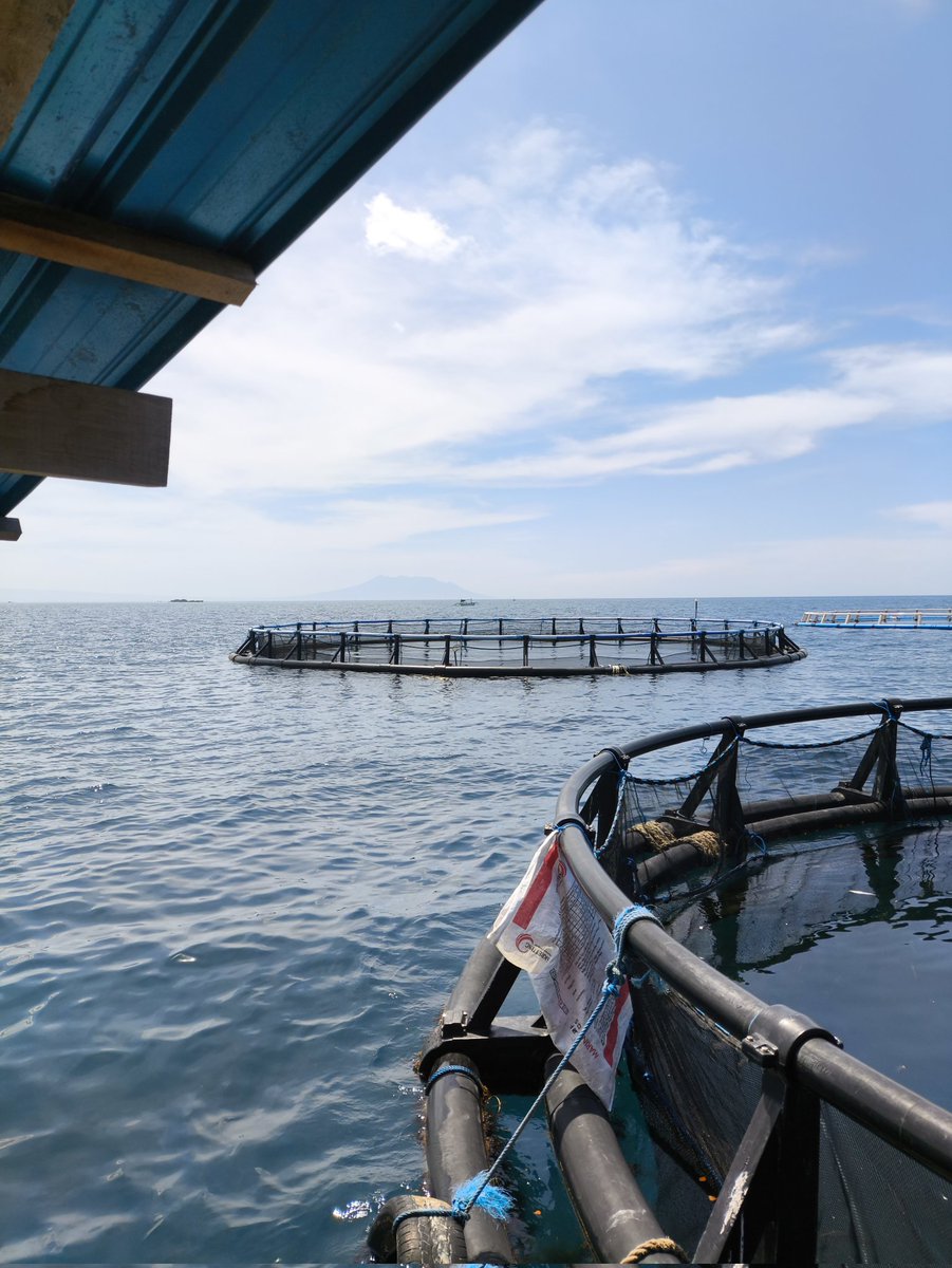 rickyteguhp's tweet photo. Bagaimana kamu bertahan ditengah arus yang kuat. #ndepissilonahanmualsekgakmuntah https://t.co/UNQ8SGMy2V