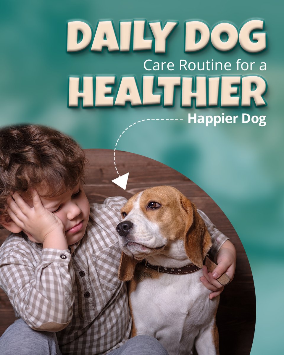 OliverQuee28294's tweet image. Want a healthier, happier pup? Swipe to see the ultimate daily routine &amp;gt;&amp;gt;

#dogroutine #DogHealthMatters #dogdailylife #DogLovers 

Continue &amp;gt;&amp;gt;