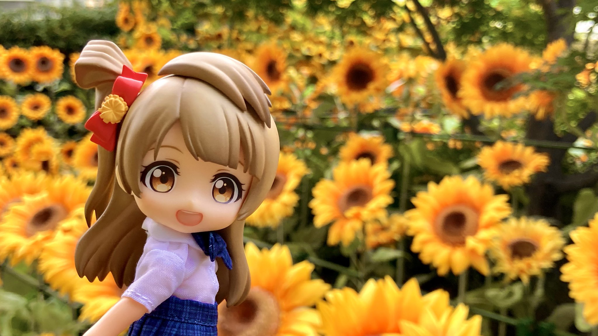 【静】モンコレ キマワリ ヒマナッツ 未開封 新品未使用♦︎ポケモン•モンコレ89キマワリ&ヒマナッツ完全未