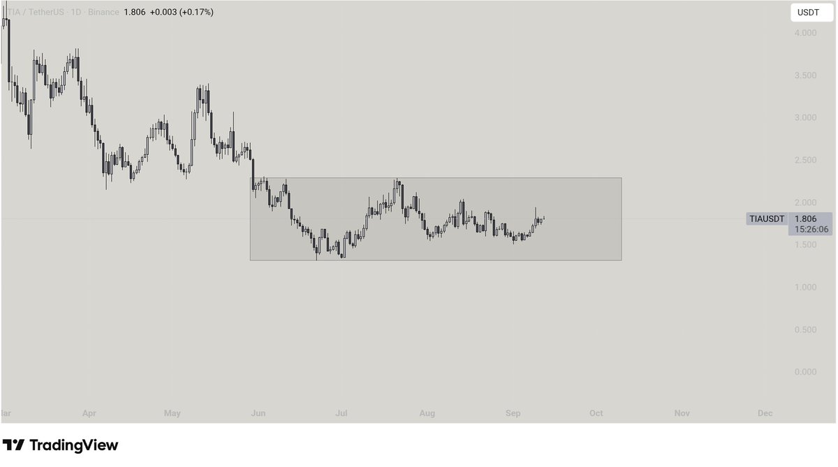 WOLF x VISION tweet media