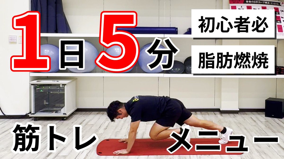 ❤プロトレーナー推奨❣1日10分トレーニングで体幹を鍛えメリハリボディに♪❤ 🐒🐒💪
