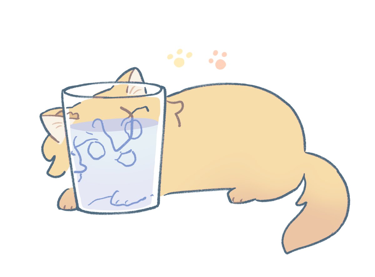 🥤🐈‍⬛🥤🐈