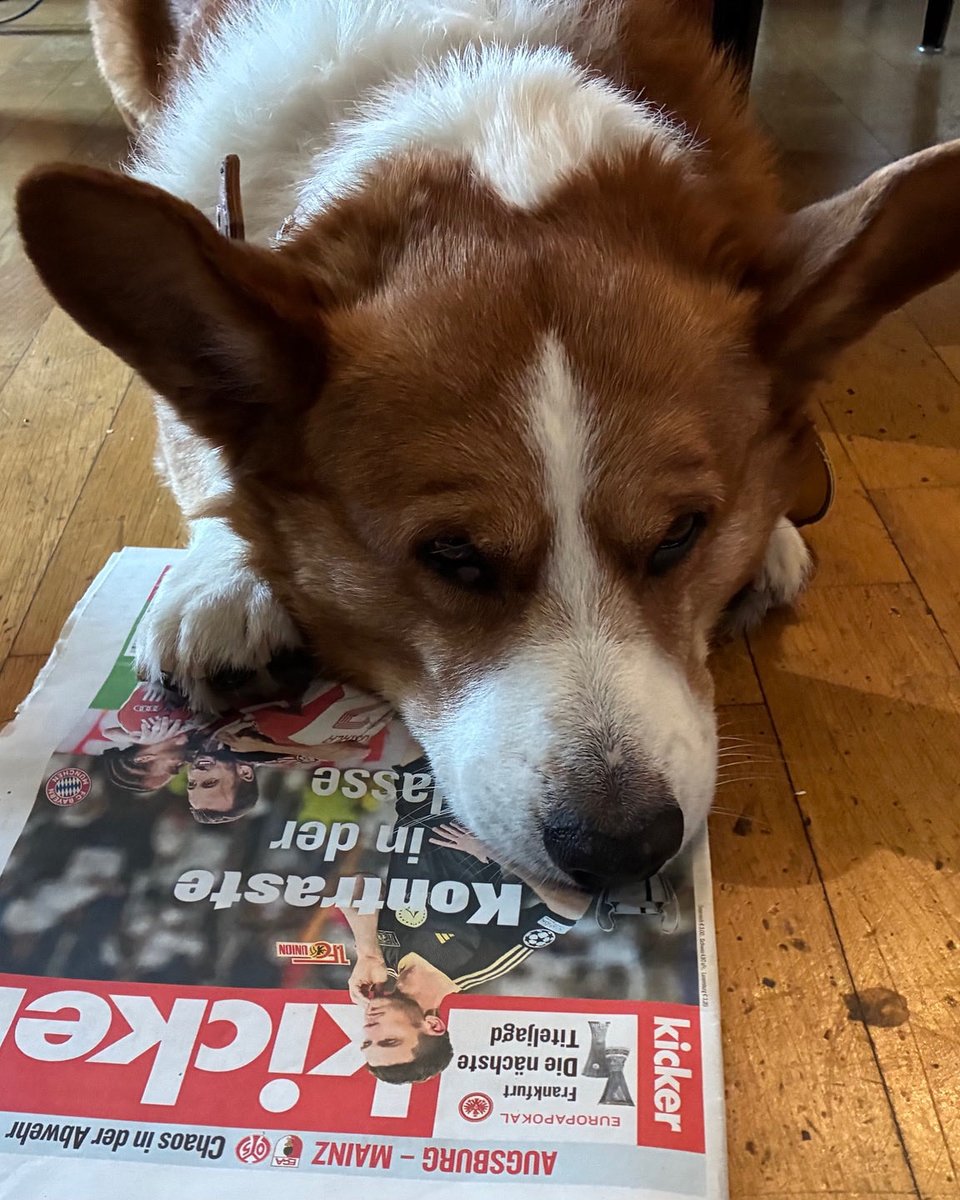 #GeorgeliebtPrint - heute den „Kicker“, danke lieber Jürgen ⁦<a href="/JuergenLoschel1/">Juergen Loschelder</a>⁩