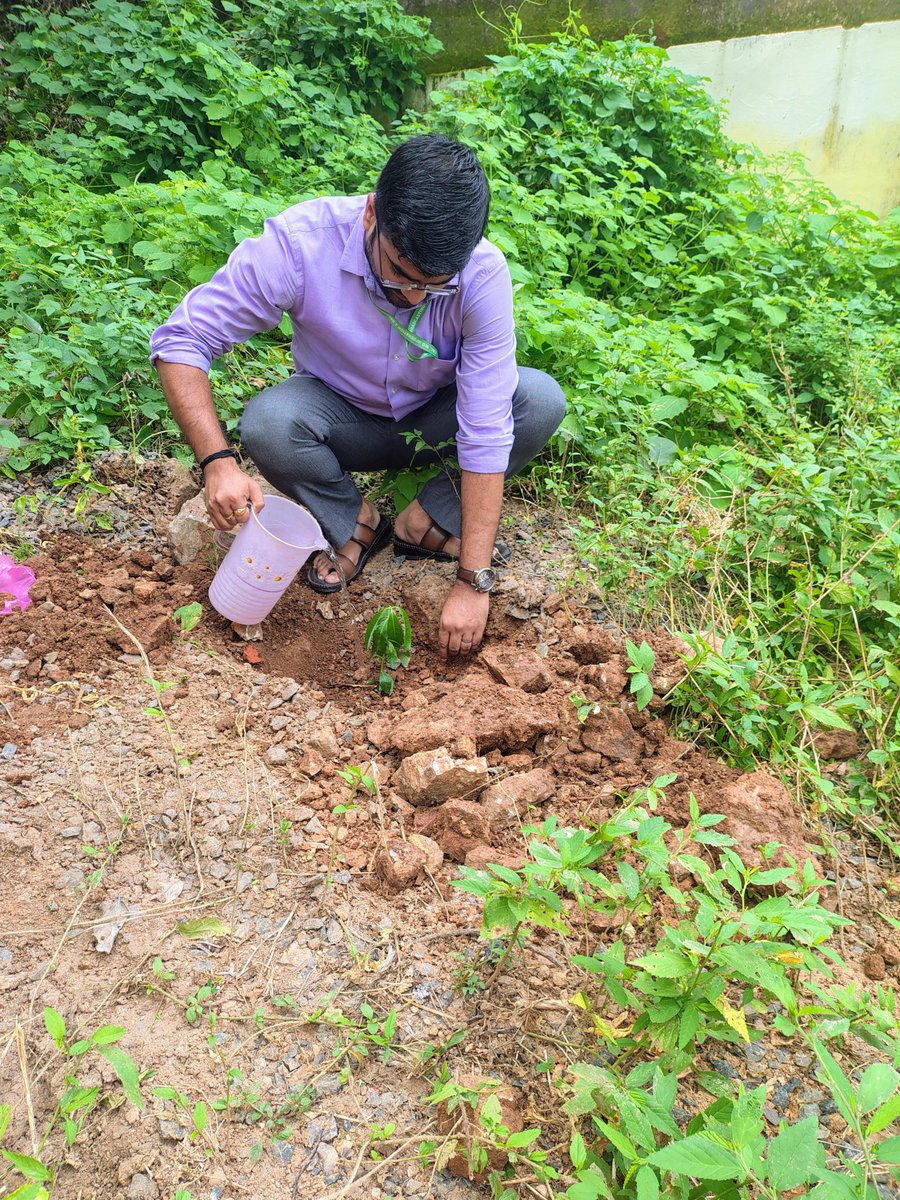 'एक पेड़ माँ के नाम' अभियान के अंतर्गत आज केंद्रीय संचार ब्यूरो, क्षेत्रीय कार्यालय, झांसी द्वारा राजकीय अनुसूचित जाति (बालक) छात्रावास प्रांगण में एक फलदार जामुन एवं एक छायादार पाखर का पौधा लगाया गया। 
#ekpedmaakenaam

<a href="/CBCLucknow/">Central Bureau of Communication, Uttar Pradesh</a> <a href="/MIB_India/">Ministry of Information and Broadcasting</a> <a href="/MIB_Hindi/">सूचना एवं प्रसारण मंत्रालय</a>