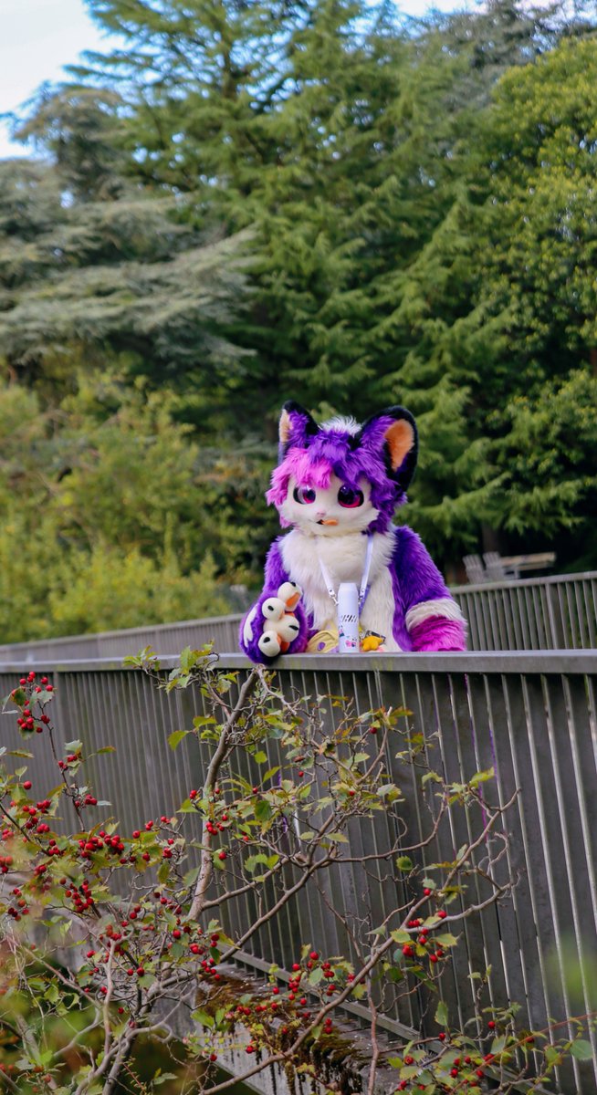 Happy fursuit friday :3c
if u took any photos of me at ef, pls send then to me ✨

📷 @/sinsec90 

#fursuitfriday #ef29