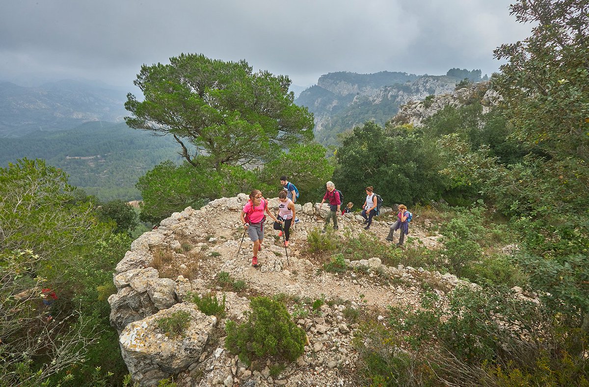 👉A l'interior del Baix Camp podeu trobar mil camins per passejar, fer senderisme o trail running🚶

🏞 Corriols, camins ramaders, camins de bast... Son construccions ancestrals que van tenir un importantíssim paper en la vida econòmica i social de la gent dels nostres pobles👨‍👨‍👧‍👦🏘️