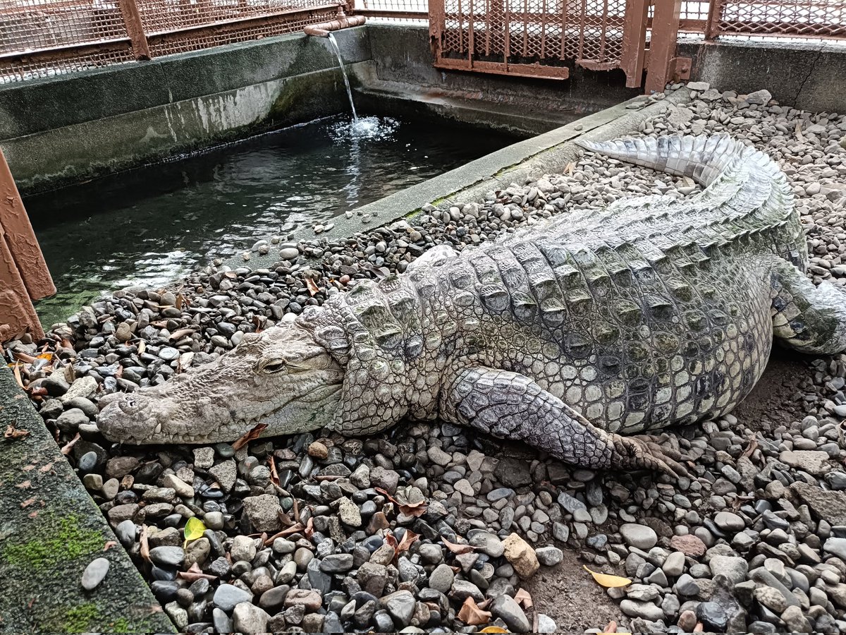 G0okWYOa0AEZ4RL.jpg?format=jpg