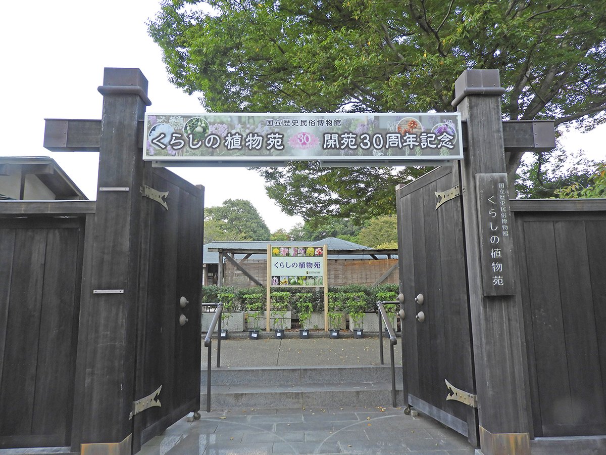 国立歴史民俗博物館(歴博) on X: 