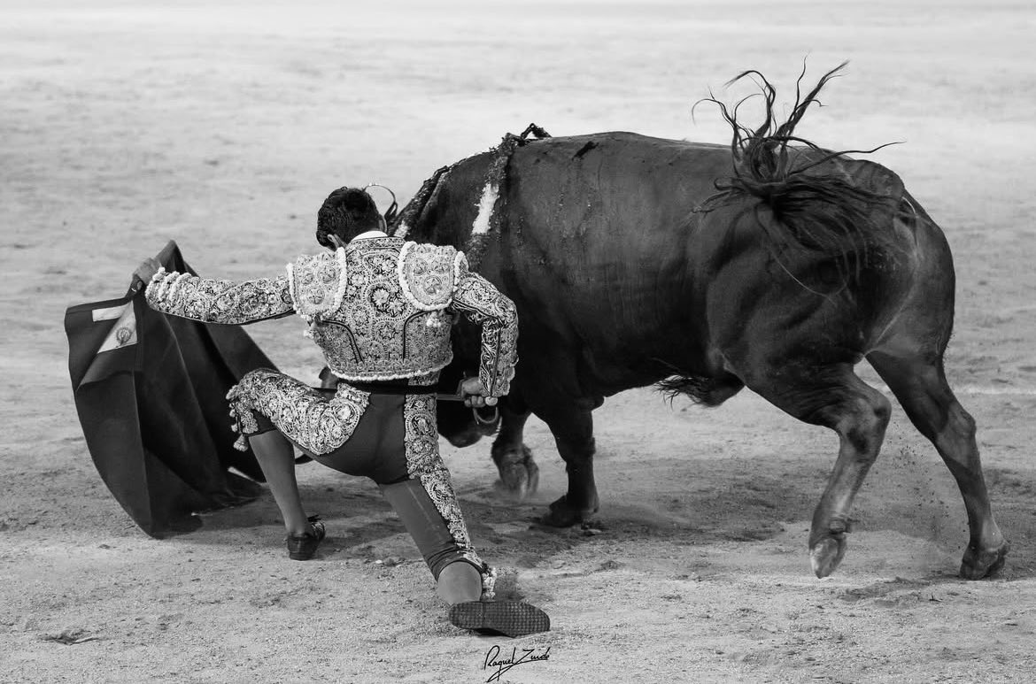 Que no pongan a Mario Navas por lo menos en su zona es aparte de una torpeza una putada para el futuro del toreo bueno. Que no lo pongan en Valladolid de primeras y habiendo una sustitución tampoco, es una golfería muy gorda. 
Las fotos no sé de quién son, desgraciadamente.