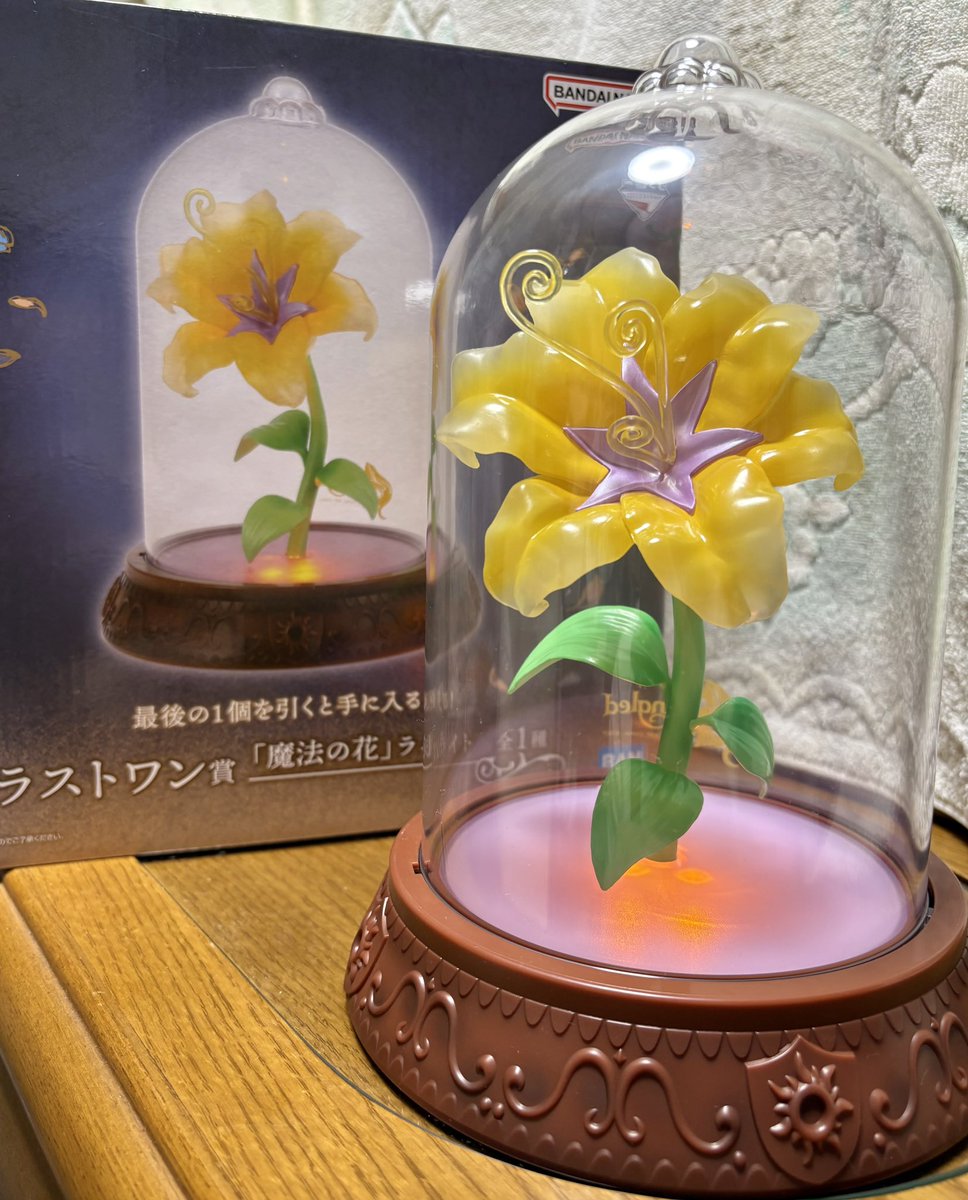 最高にかわいすぎるからみんな見て❣️ラプンツェルの魔法の花のライト