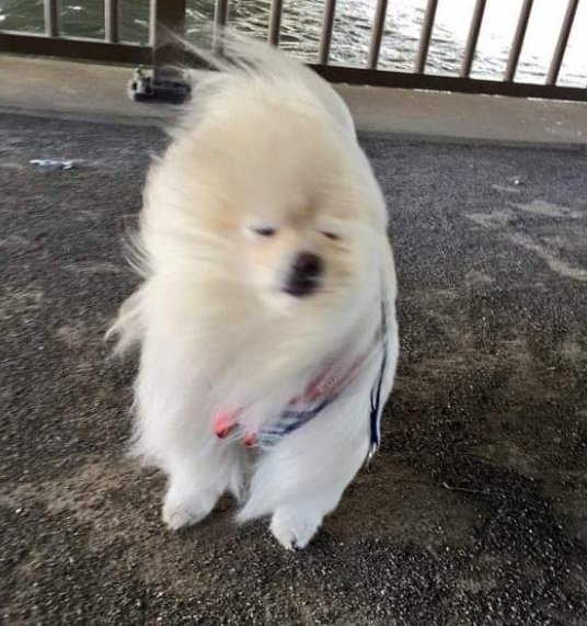 아ㅈㄴ다를게없슴