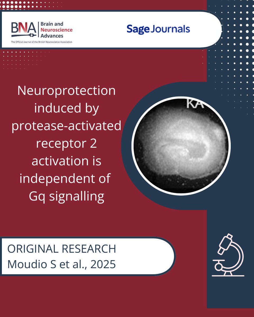 British Neuroscience Association tweet media