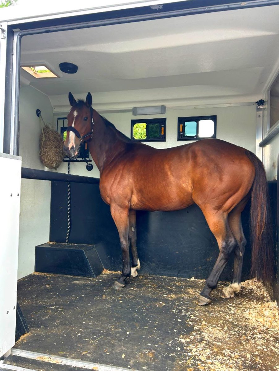 619 went to his retirement home this week 🥹

We will all miss our special boy, he gave us lots of fun times and memories. He was everyone’s favourite ride and always a pleasure to look after.

But we are truly blessed to have sent him to a fabulous home.