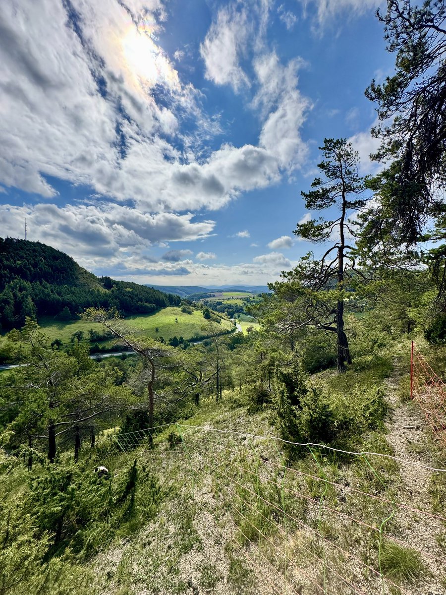 Oben angekommen und den Zaun wie immer täglich kontrollieren. Habe gleich einen mitgenommen, wenn ich eh hoch laufe, so verbinde ich das gleich für das nächste Abteil. Die Aussicht entschädigt etwas für den Ärger hier.