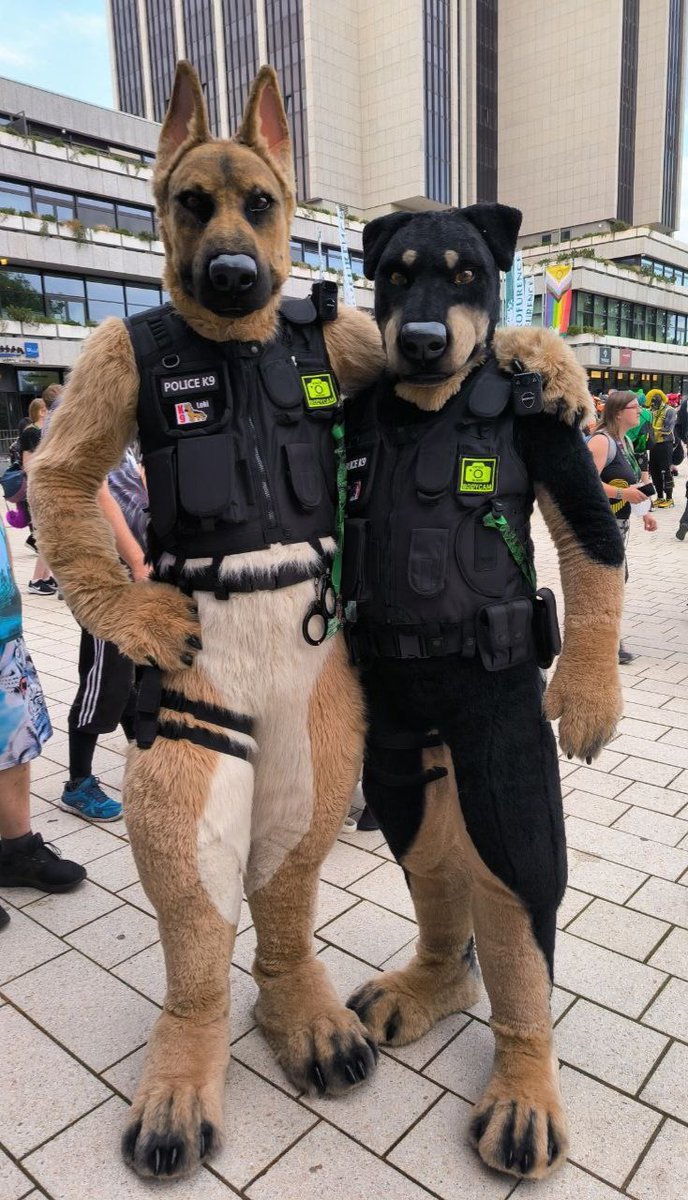 Catched by @kardofox at #Eurofurence 29.