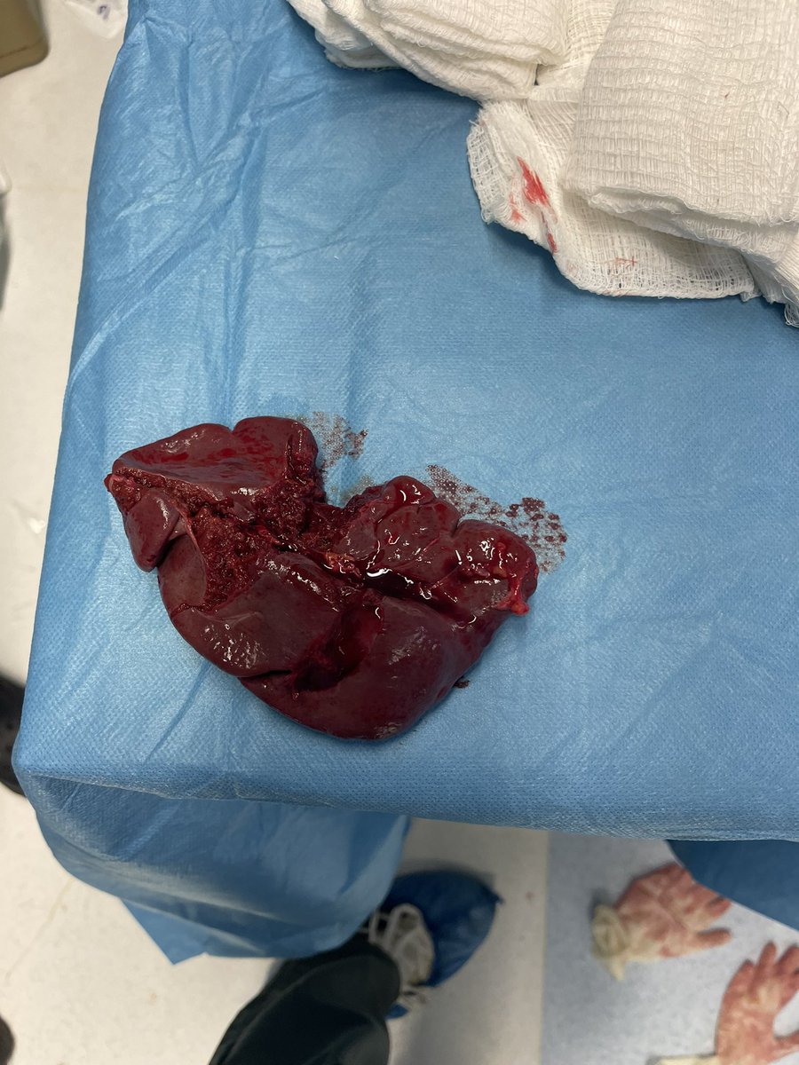 shattered spleen 🔪