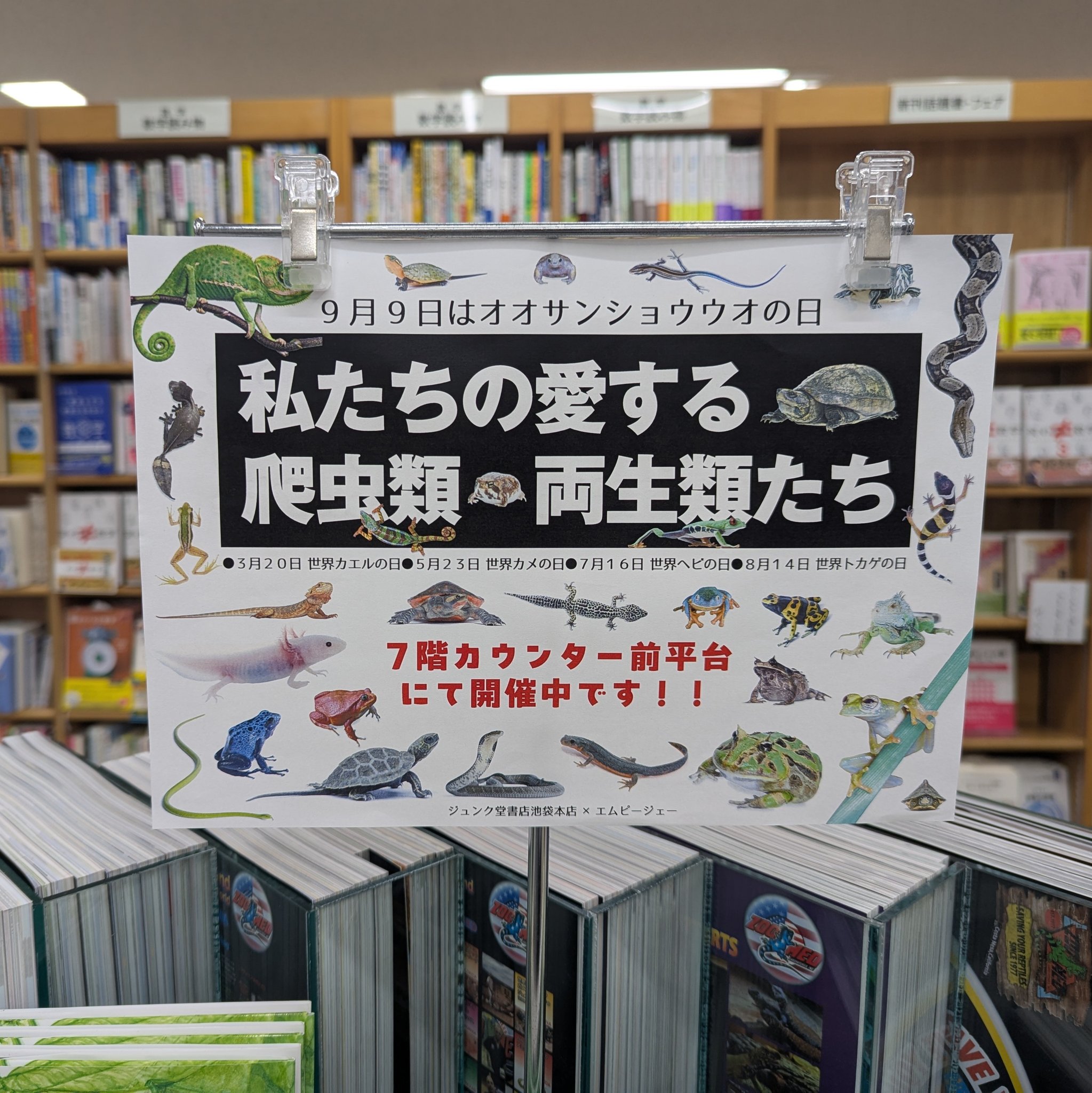 ジュンモール　購入申請あり J&M Davidson ジェイアンドエムデヴィッドソン DAVIDSON 小銭