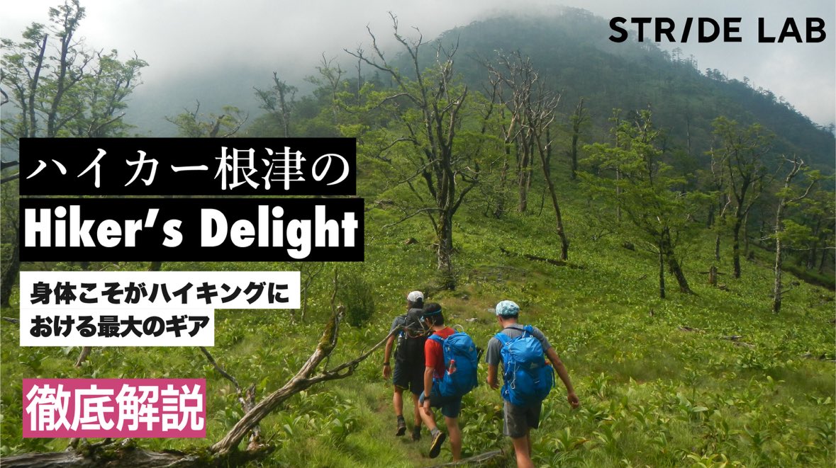 stride_lab1's tweet image. STRIDE LABでは、アウトドアライターの根津さんとともに、連載「ハイカー根津の HIKER'S DELIGHT」をお届けしています。

本動画では、現在公開中の vol.5の記事について、詳しくご紹介しています。

vol.5「ハイキングもULもカラダが資本」

 youtu.be/qaQHbBZridM?si…