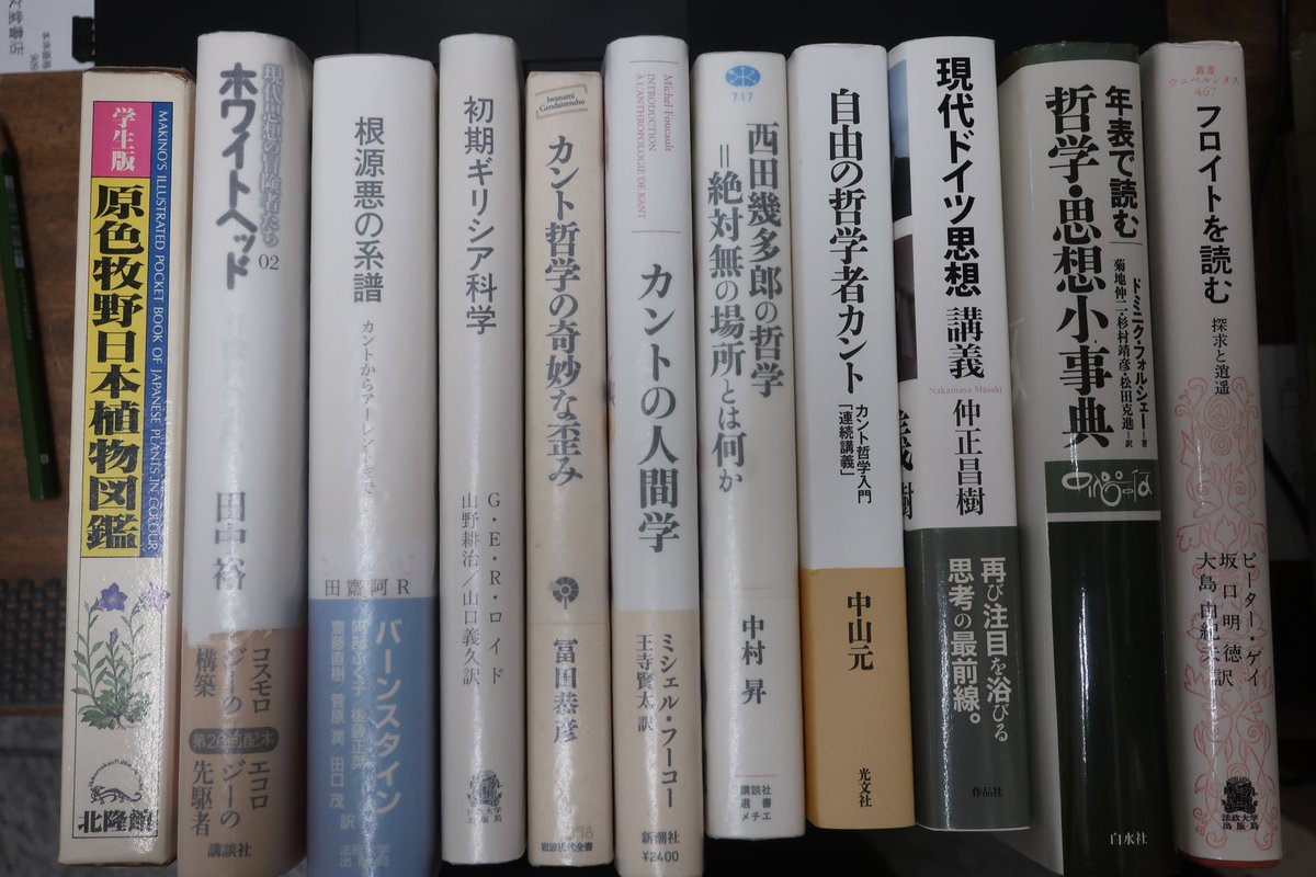 本日の入荷(一部)です。
